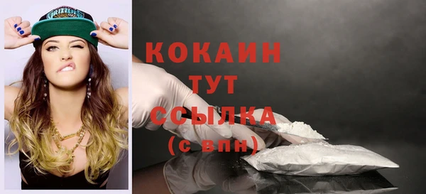 гашик Михайловка