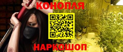 гашик Заводоуковск