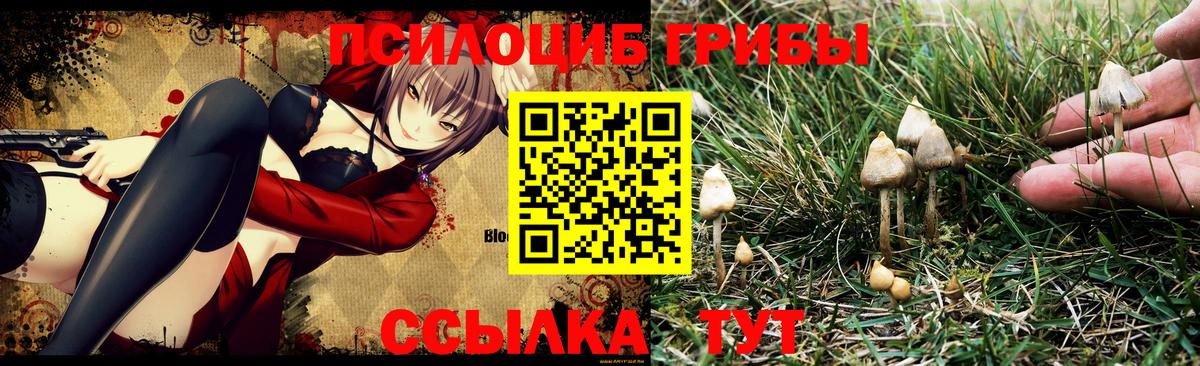 Галлюциногенные грибы ЛСД Люберцы