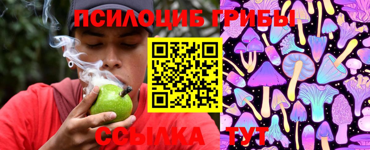 Люберцы  Псилоцибиновые грибы MAGIC MUSHROOMS  Вход с VPN 