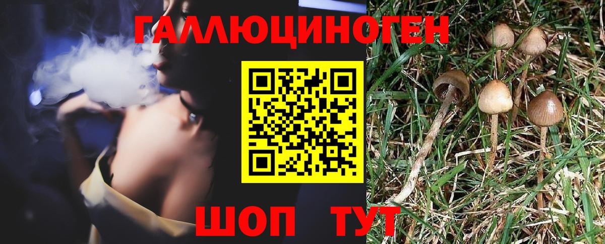 Галлюциногенные грибы ЛСД  Люберцы  Псилоцибиновые грибы прущие грибы 