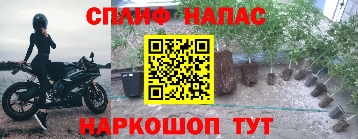 Канабис SATIVA & INDICA  Люберцы  МАРИХУАНА THC 21%  Конопля план 